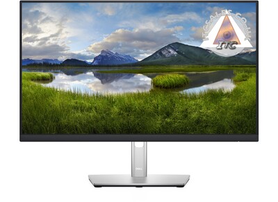 Dell P2422H 23.8" Full HD 16:9 IPS Height Adjustable Monitor 210-AZYX